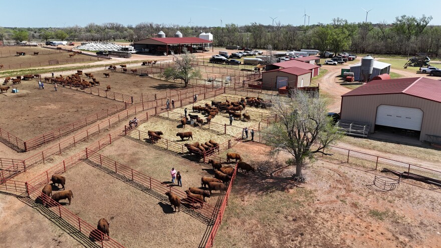 A drone photograph of the McEntire Ranch near Sweetwater, Okla. on March 31, 2025.