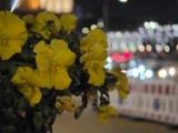 Low-light comparison, telephoto camera (5x): Galaxy S26 Ultra - 115mm, f/2.9, ISO 2000, 1/33s (4000x3000px) - Galaxy S26 Ultra vs. Galaxy S25 Ultra