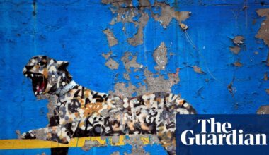 Unmasking artists like Banksy and Ferrante | Banksy