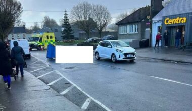 Major protest march planned for Clonmel after death of horse in horror crash