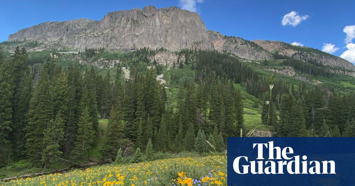 Rise of the shrubs: what happened when scientists heated a Rocky Mountain wildlife meadow by 2C? | Endangered habitats
