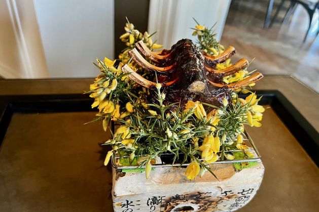 Lucinda O'Sullivan reviews Terre in Castlemartyr Resort in Cork