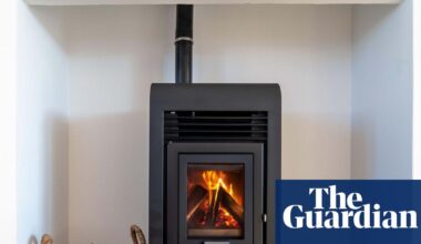 Lobbyists send legal threats to councils over anti-wood burner campaigns | Air pollution