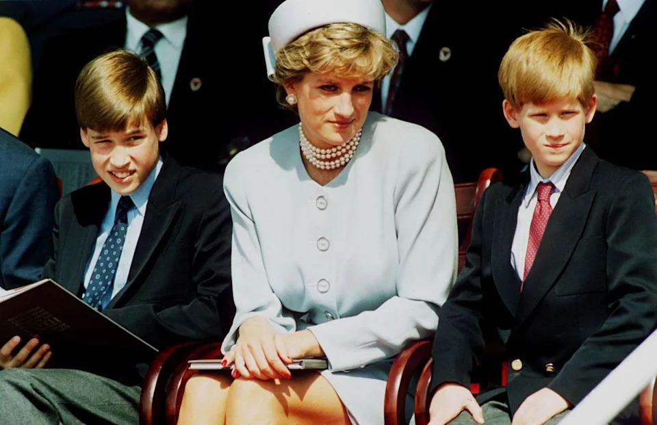 Princess Diana with William, left, and Harry in London in May 1995Credit: Anwar Hussein/Getty