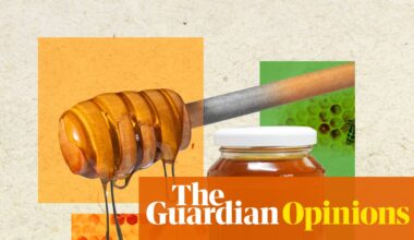 Honey as a superfood: can it really heal wounds, fight superbugs and provide sweet relief for coughs? | Donna Lu