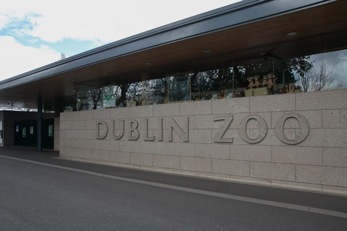 Dublin Zoo's exterior
