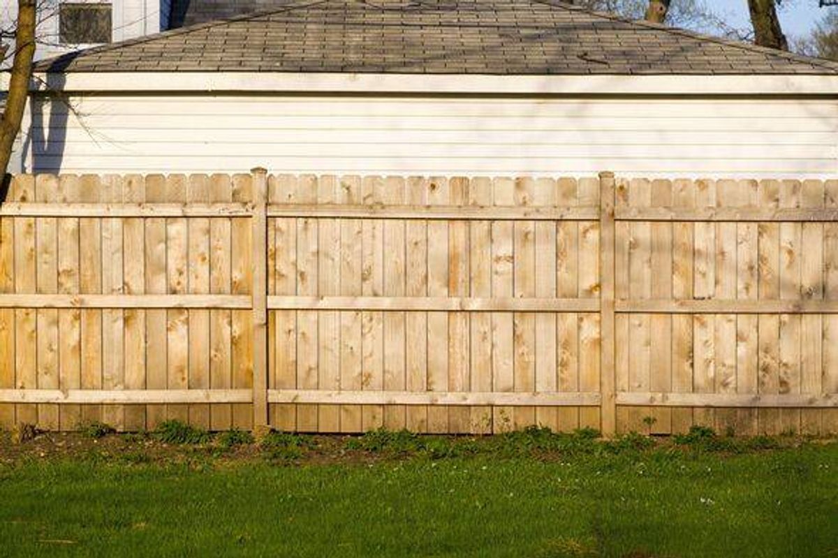 Gardeners urged to drill holes in garden fence this spring