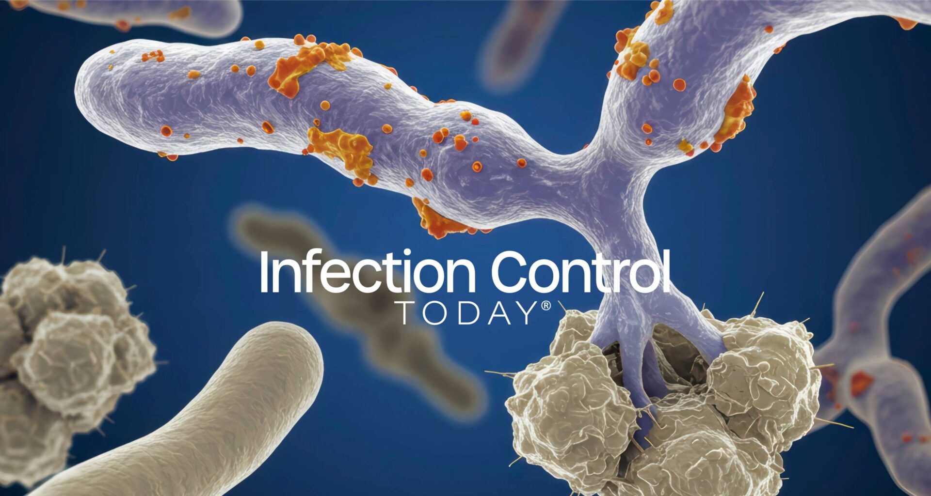 3D microscopic fungal cells and hyphae network, medical infection background (Adobe Stock 1839119128 by Philipp with AI)