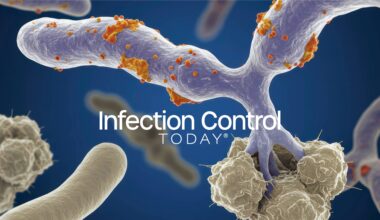 3D microscopic fungal cells and hyphae network, medical infection background (Adobe Stock 1839119128 by Philipp with AI)