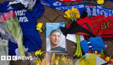 Cardiff City damages claim over Emiliano Sala death dismissed - BBC