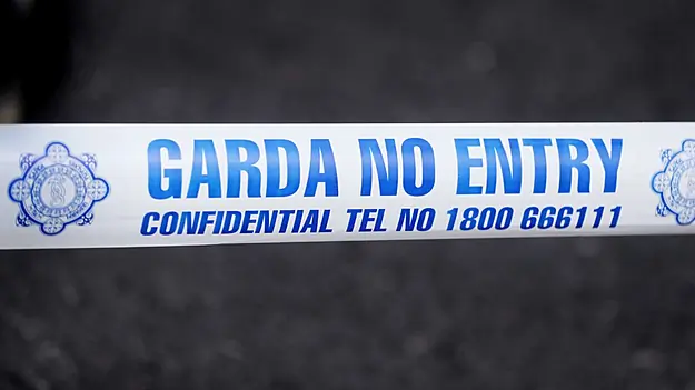 Man (20S) Dies Following Electric Scrambler Collision In Clare