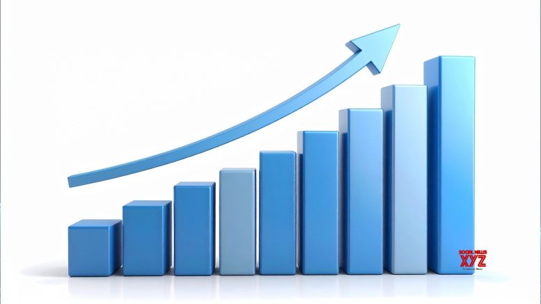 India remains fastest-growing major economy, domestic investors power market resilience