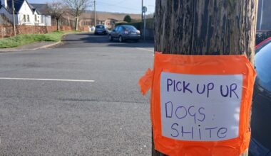 Residents in Letterkenny residential suburb give a "s****"