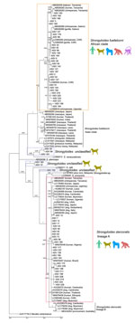 Bayesian phylogenetic tree based on Strongyloides spp. cox1 (700 bp) sequences derived from study of Strongyloides genetic diversity among humans, dogs, and nonhuman primates, Dzanga-Sangha Protected Areas, Central African Republic, 2016–2022. Tree also includes sequences downloaded from GenBank; accession numbers are provided. The alignment was performed in Geneious (https://www.geneious.com) using the general time-reversible model of nucleotide substitution with gamma distribution. Branch lengths indicate expected substitutions per site. Necator americanus (accession no. AJ417719.2) was included as an outgroup. Node support was estimated from 106 iterations. Color silhouettes indicate host species: light green, human; olive green, dog; blue, gorilla; red, chimpanzee; violet, mangabey. Colored boxes indicate species/lineage type. ASV, amplicon sequencing variant; CAR, Central African Republic.
