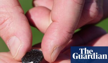 Suspected meteorite crashes into Houston home, officials say | Houston