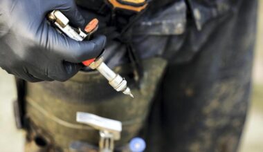 Dairy Management: bluetongue vaccine and maiden heifers