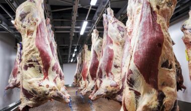 Beef prices slashed by €5m