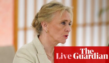 Iceland proposes referendum on resuming EU accession talks in August – Europe live | Iceland