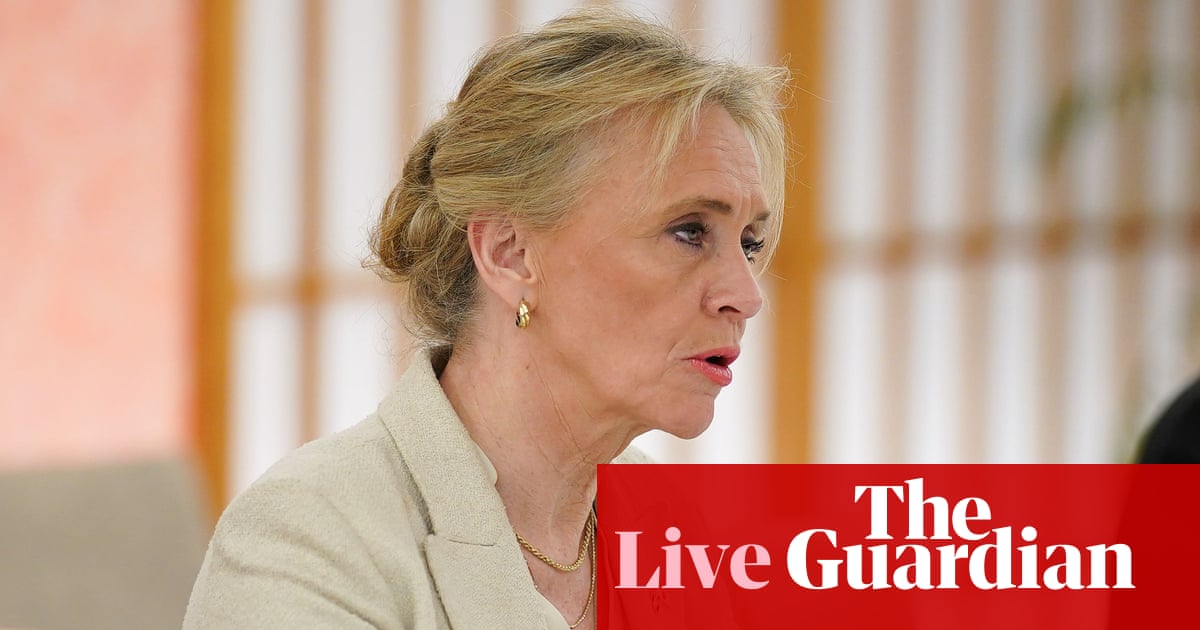 Iceland proposes referendum on resuming EU accession talks in August – Europe live | Iceland