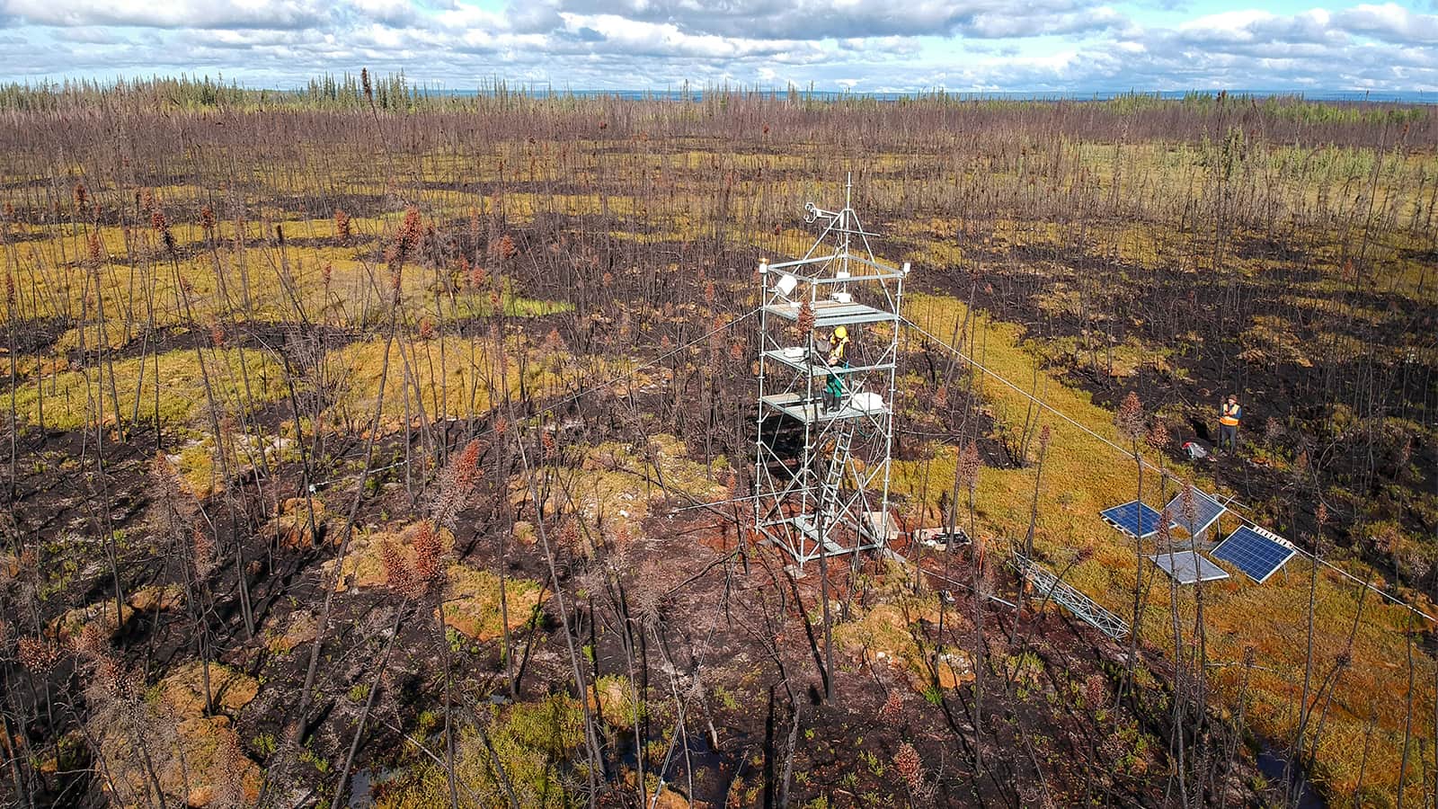 Burned Peatlands Emit Carbon Long After Wildfires
