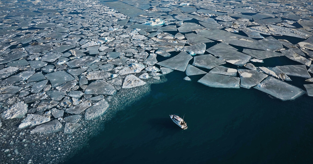 Arctic sea ice hits lowest winter level as unprecedented heat smashes records all over Earth