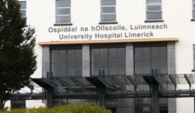 Doctor jailed for eight years for raping nurse as she slept in Limerick apartment – The Irish Times