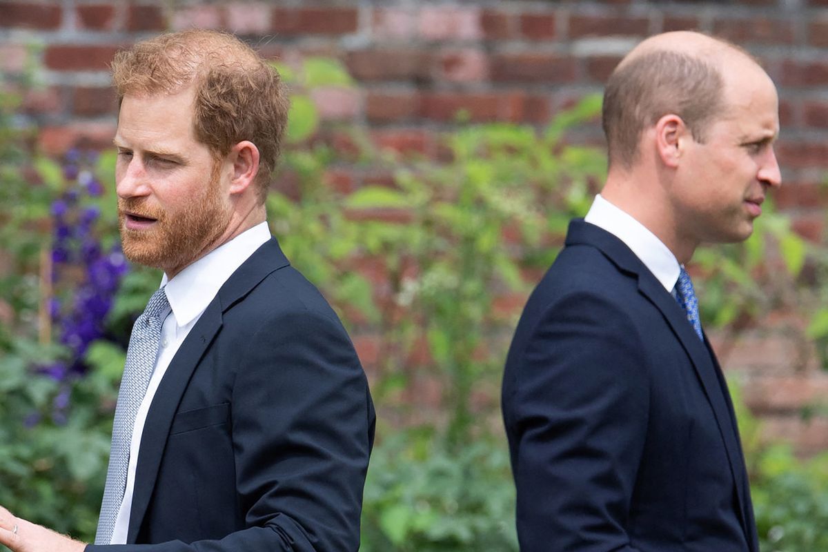 The Prince of Wales and the Duke of Sussex haven't seen each other in several years