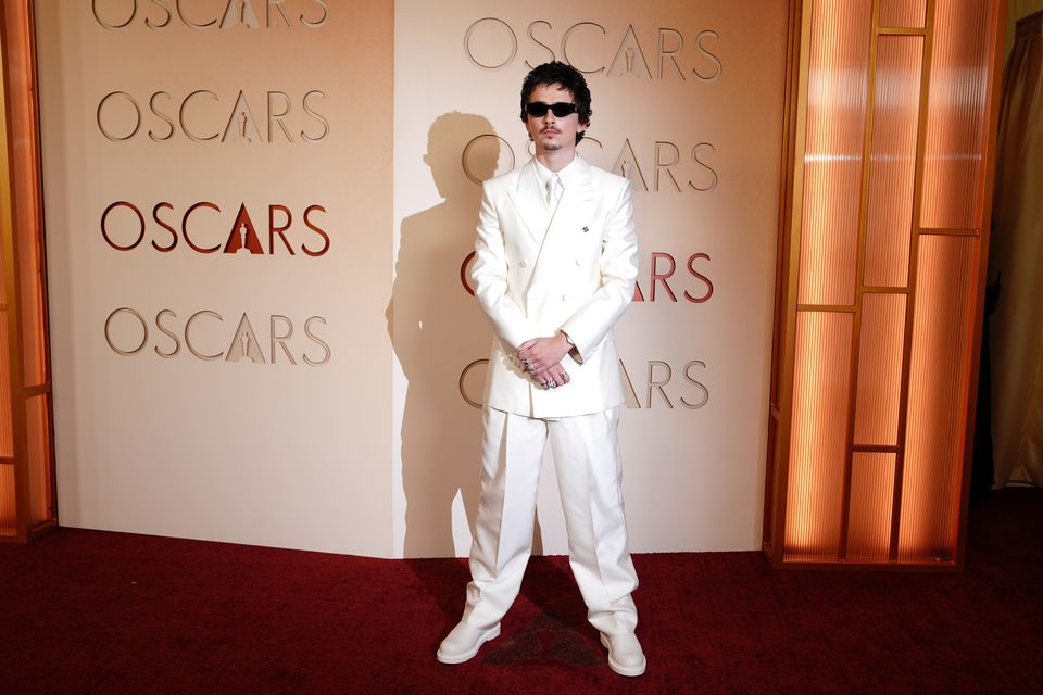 Timothee Chalamet arrives on the red carpet (Jordan Strauss/Invision/AP)