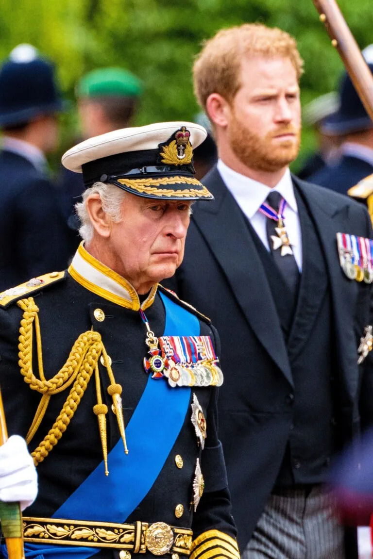 King Charles and Prince Harry at Queen Elizabeth's funeral