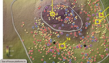 Secrets of Wicklow hillfort designated Ireland’s earliest proto-town to be shared at free event??????????????