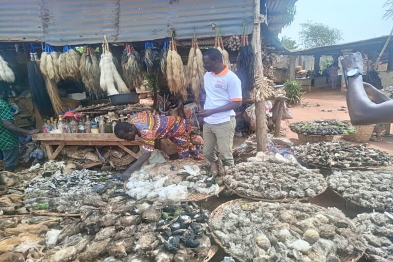 One of the fetish markets in Bénin selling animal parts that are believed to have magical powers.