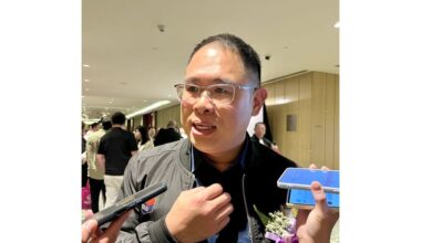 Villagers told to be vigilant after tiger sighted near Kluang plantation, says Johor exco member