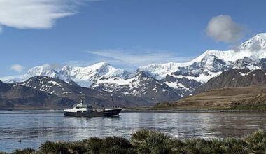 TD calls on Ireland to join Antarctic treaties - Homepage