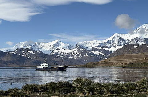 TD calls on Ireland to join Antarctic treaties - Homepage