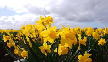 Cork woman urges breast cancer checks after surprise diagnosis - Homepage