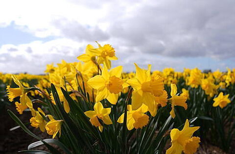 Cork woman urges breast cancer checks after surprise diagnosis - Homepage