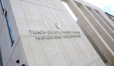 Man (29) stabbed dog with pitchfork in Waterford - News