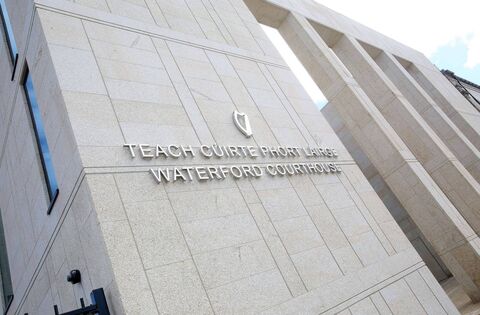 Man (29) stabbed dog with pitchfork in Waterford - News