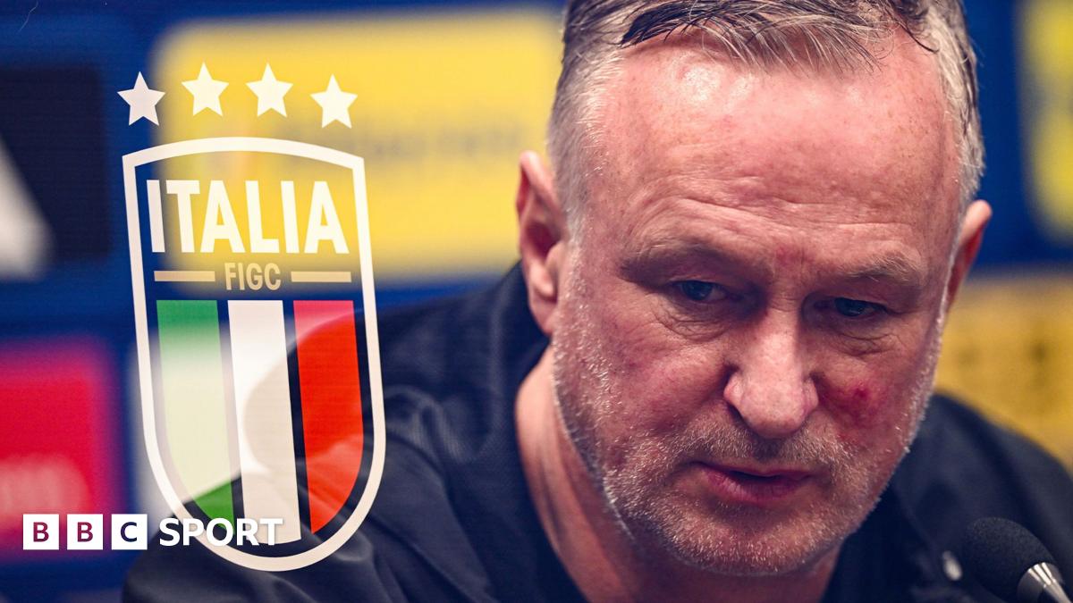 Northern Ireland manager Michael O'Neill