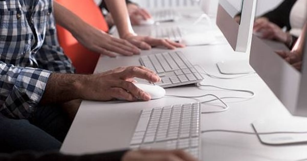 €160 million tender for education and training services collapses over ‘anomalies’ – The Irish Times