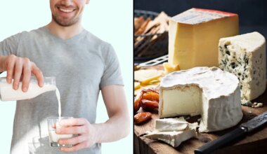 Milk, yoghurt, cheese — why full-fat dairy can be good for you