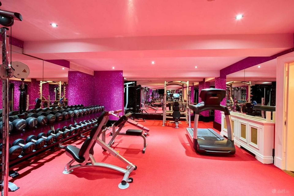 Villa Barton in Co Kildare is on the market for €3.5m. Photo: Daft.ie