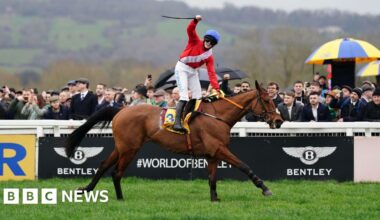 Cheltenham Festival Gold Cup race ends with third death this week - BBC