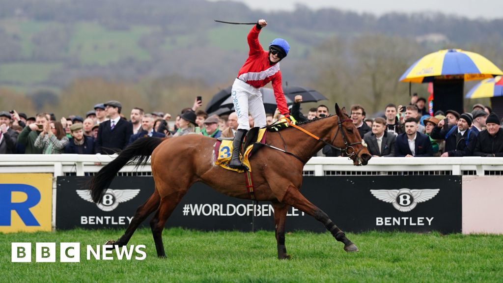 Cheltenham Festival Gold Cup race ends with third death this week - BBC
