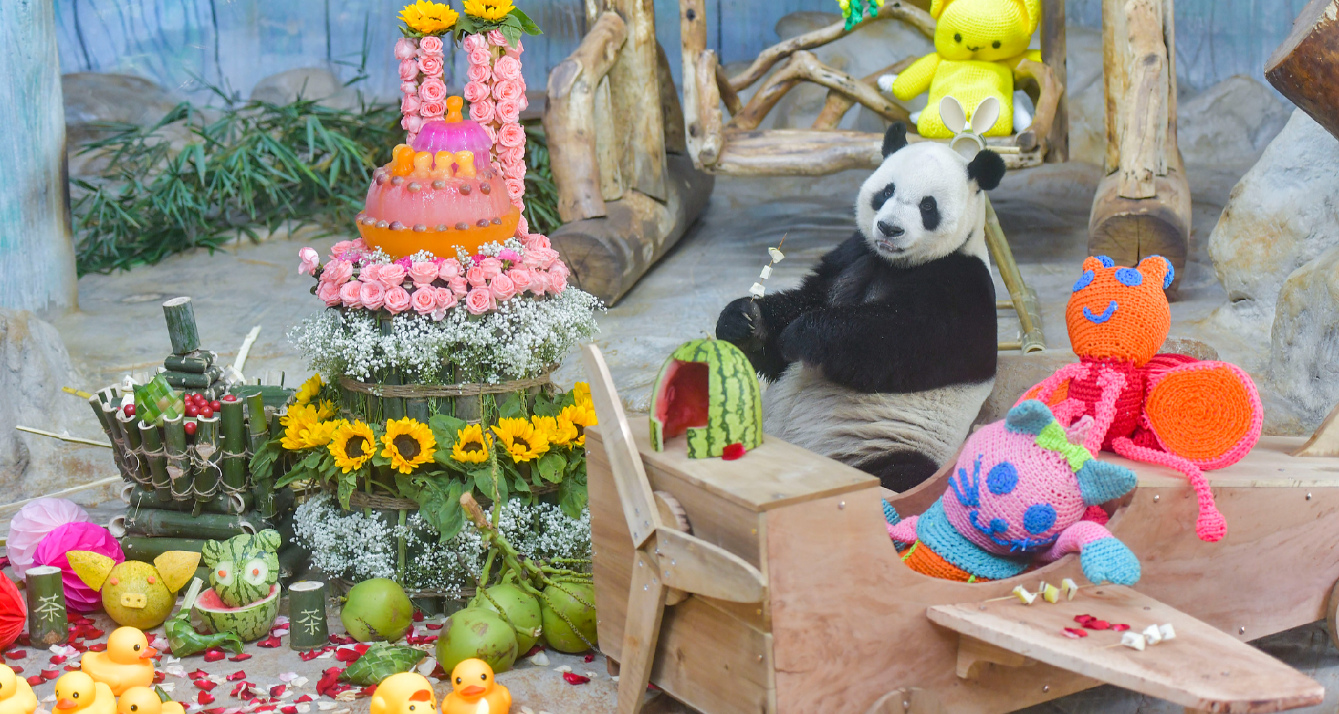 Live: Meet the giant pandas at Hainan Tropical Wildlife Park – Ep. 2