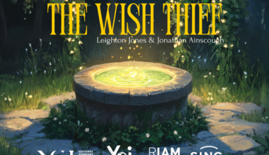 Youth Opera Ireland presents: The Wish Thief | The Journal of Music in Ireland
