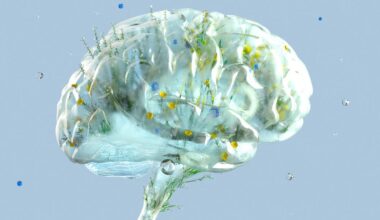 New Research Shows Working Out Is Good For Your Brain — BDNF Study