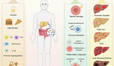 The role and possible mechanism of intestinal fungi in the progression of chronic liver diseases