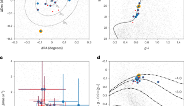 Enrichment by the first stars in a relic dwarf galaxy