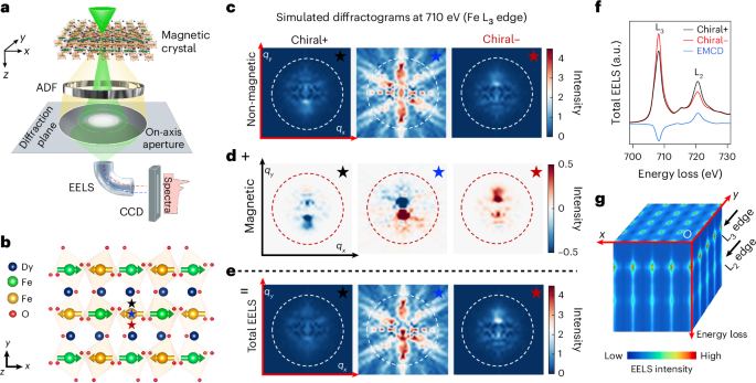 Magnetic circular dichroism imaging of atomic-scale antiferromagnetic order at a buried interface